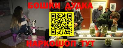 apvp Можга
