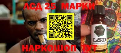 apvp Можга