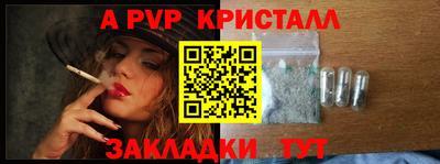 apvp Можга